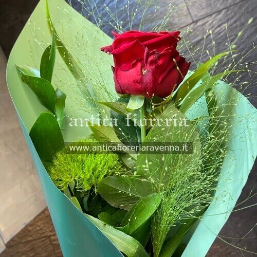 rosa singola ben confezionata rosa singola ben confezionata