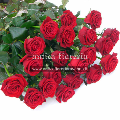 Mazzo di rose rosse Mazzo di rose rosse